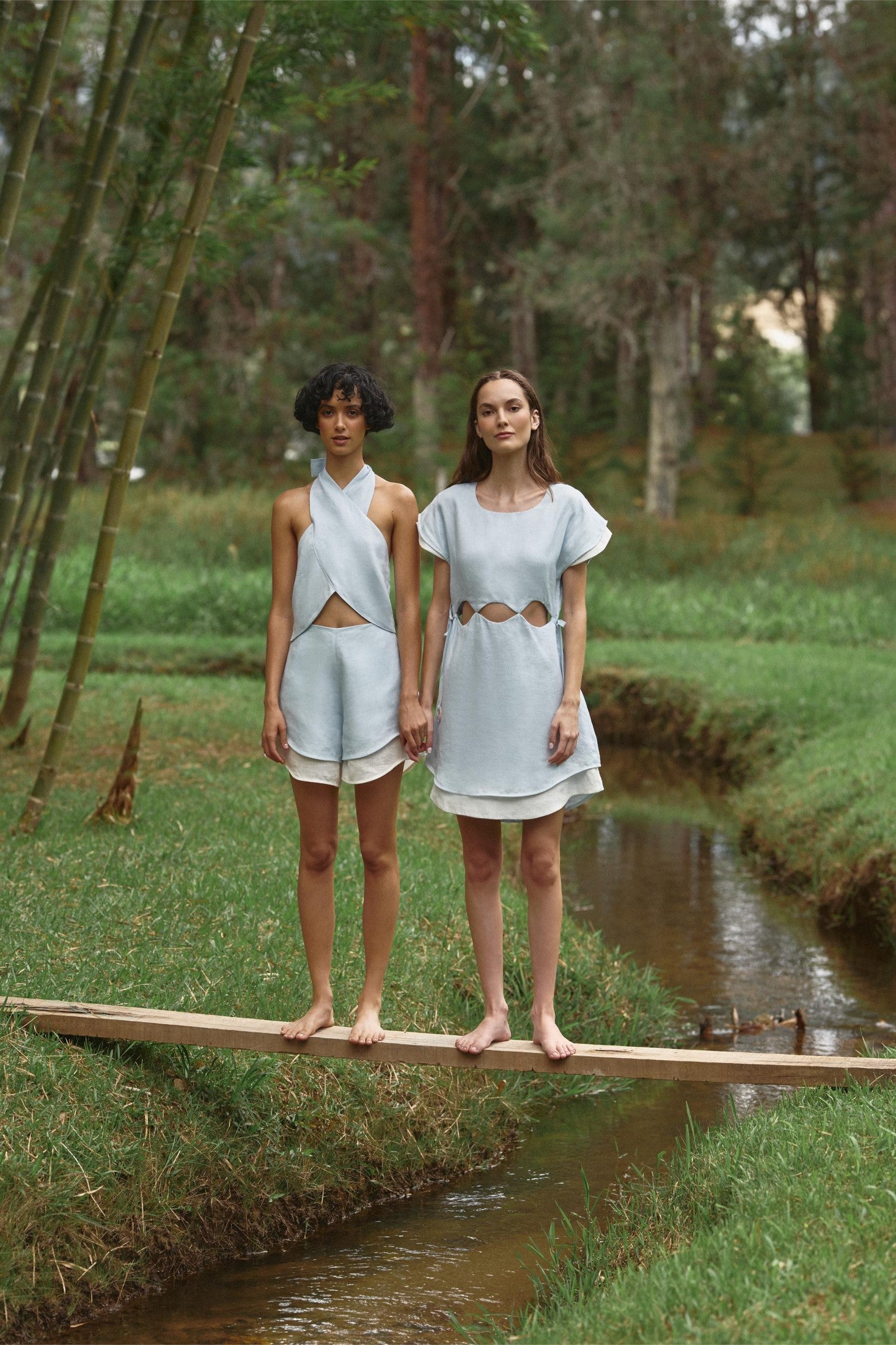 Imagen de diapositiva